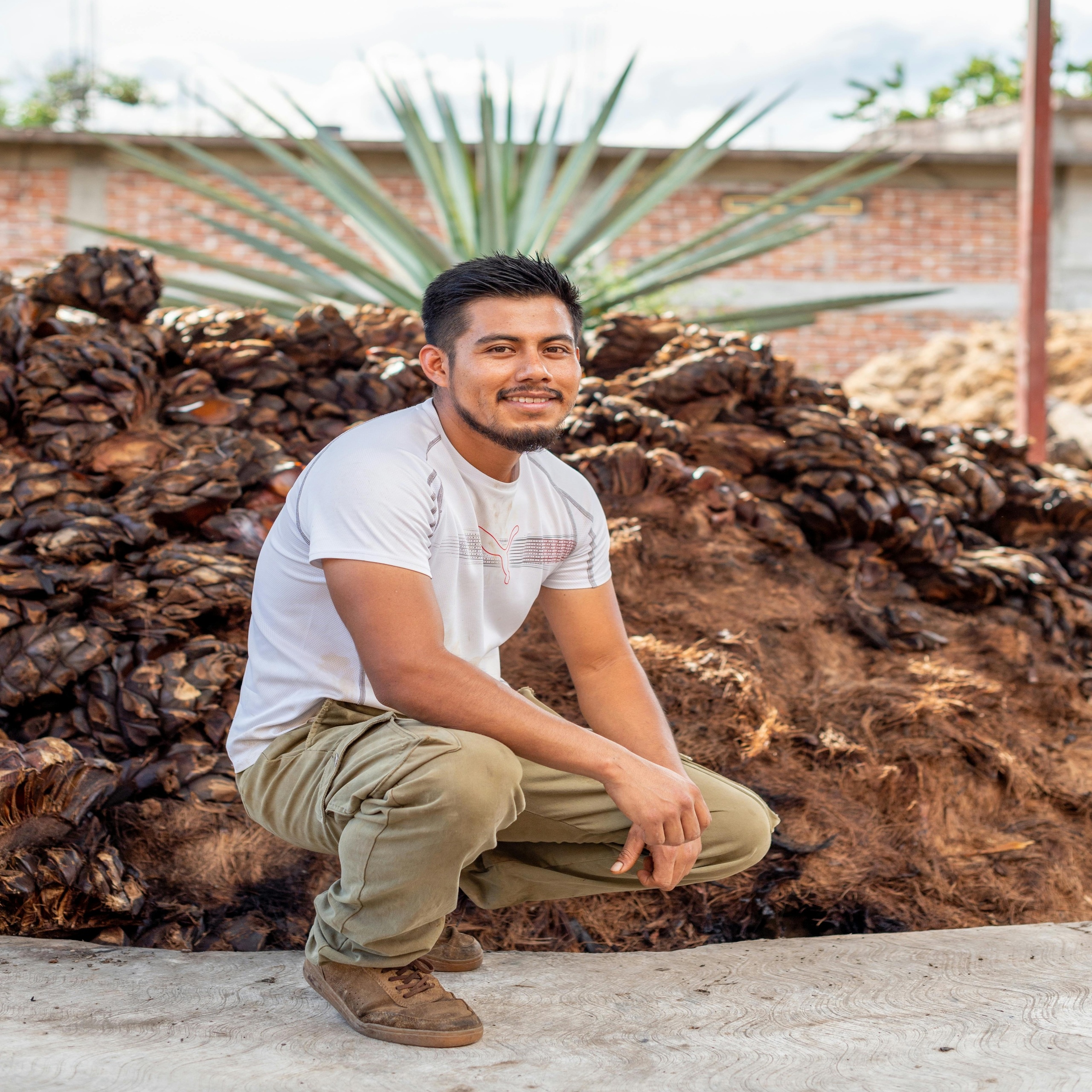 pexels-israwmx-17046813-1 Inicio